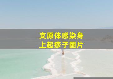 支原体感染身上起疹子图片