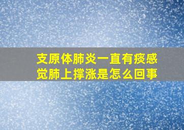 支原体肺炎一直有痰感觉肺上撑涨是怎么回事