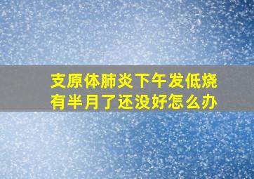 支原体肺炎下午发低烧有半月了还没好怎么办