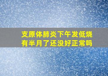 支原体肺炎下午发低烧有半月了还没好正常吗