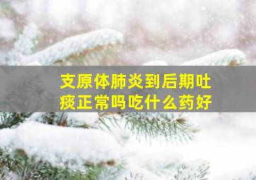 支原体肺炎到后期吐痰正常吗吃什么药好