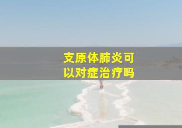 支原体肺炎可以对症治疗吗