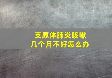 支原体肺炎咳嗽几个月不好怎么办