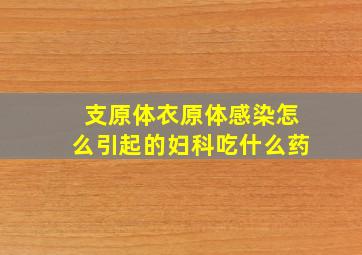 支原体衣原体感染怎么引起的妇科吃什么药