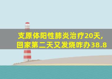 支原体阳性肺炎治疗20天,回家第二天又发烧咋办38.8