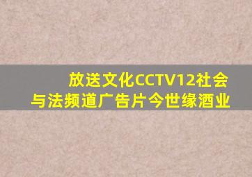 放送文化CCTV12社会与法频道广告片今世缘酒业