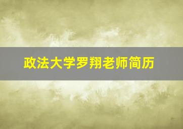 政法大学罗翔老师简历