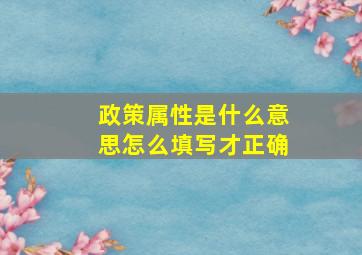 政策属性是什么意思怎么填写才正确