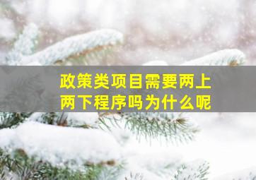 政策类项目需要两上两下程序吗为什么呢