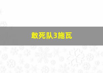 敢死队3施瓦