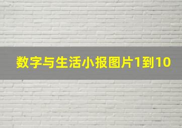 数字与生活小报图片1到10