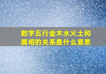 数字五行金木水火土和属相的关系是什么意思