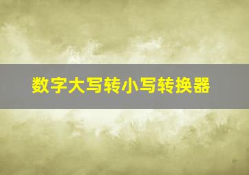 数字大写转小写转换器