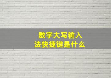 数字大写输入法快捷键是什么