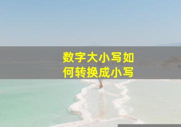 数字大小写如何转换成小写