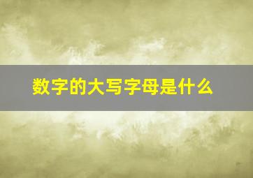 数字的大写字母是什么