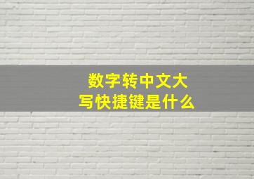 数字转中文大写快捷键是什么