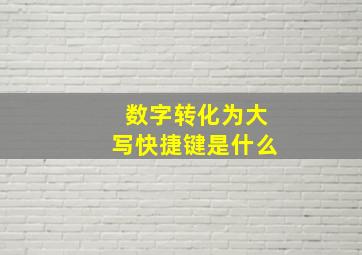 数字转化为大写快捷键是什么