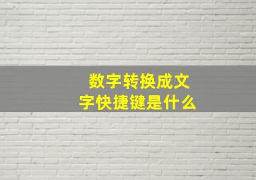 数字转换成文字快捷键是什么