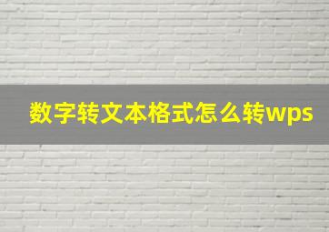 数字转文本格式怎么转wps