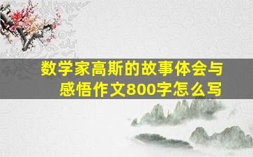 数学家高斯的故事体会与感悟作文800字怎么写