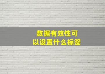 数据有效性可以设置什么标签