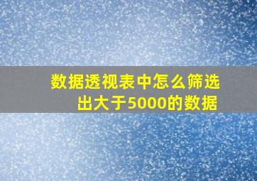 数据透视表中怎么筛选出大于5000的数据