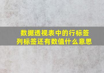 数据透视表中的行标签列标签还有数值什么意思