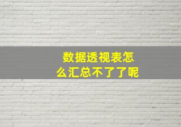 数据透视表怎么汇总不了了呢