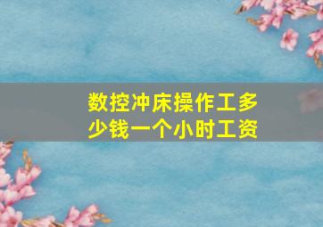 数控冲床操作工多少钱一个小时工资