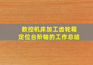 数控机床加工齿轮箱定位台阶轴的工作总结