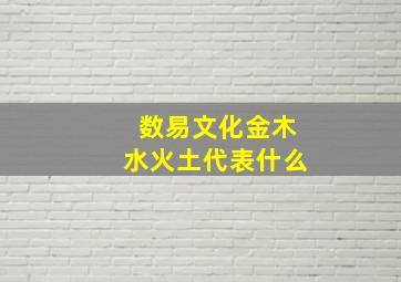 数易文化金木水火土代表什么