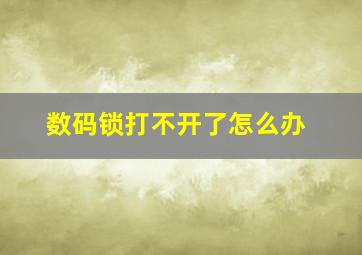 数码锁打不开了怎么办