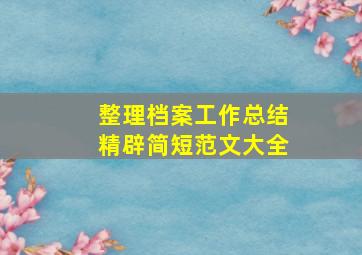 整理档案工作总结精辟简短范文大全