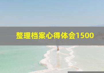 整理档案心得体会1500