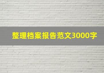 整理档案报告范文3000字