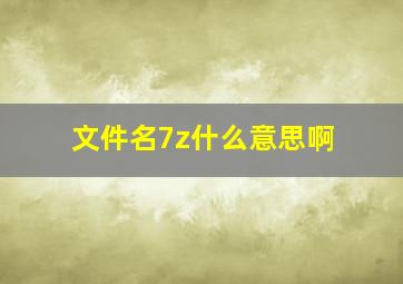 文件名7z什么意思啊