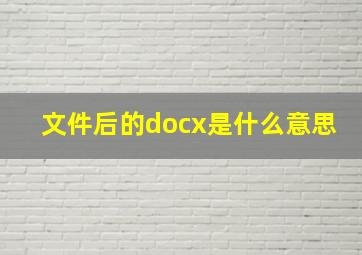 文件后的docx是什么意思