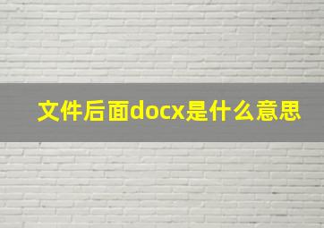 文件后面docx是什么意思