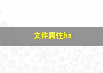 文件属性hs