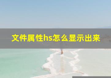 文件属性hs怎么显示出来