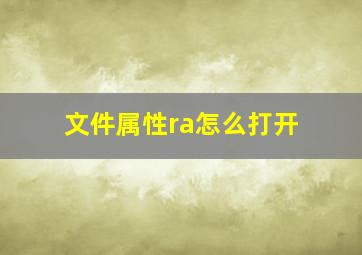 文件属性ra怎么打开