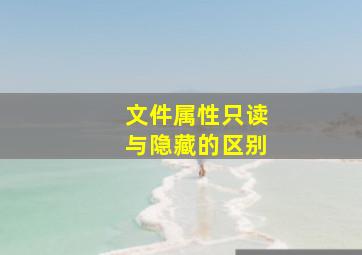 文件属性只读与隐藏的区别