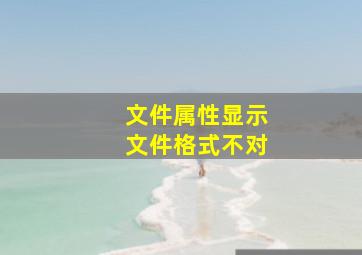 文件属性显示文件格式不对