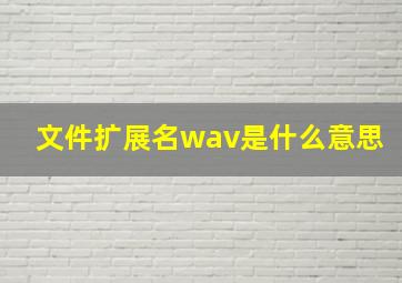 文件扩展名wav是什么意思