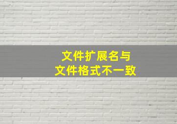 文件扩展名与文件格式不一致