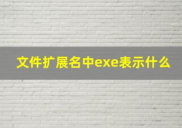 文件扩展名中exe表示什么