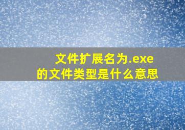 文件扩展名为.exe的文件类型是什么意思