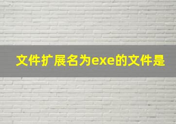 文件扩展名为exe的文件是