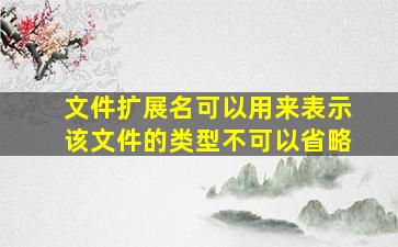 文件扩展名可以用来表示该文件的类型不可以省略